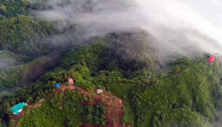 সংগৃহীত ছবি