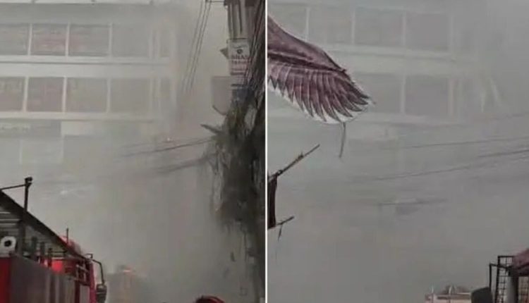 সংগৃহীত ছবি