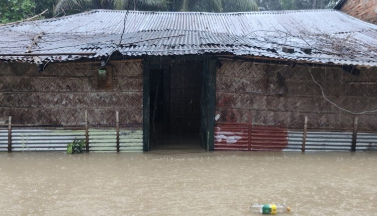 ফাইল ছবি
